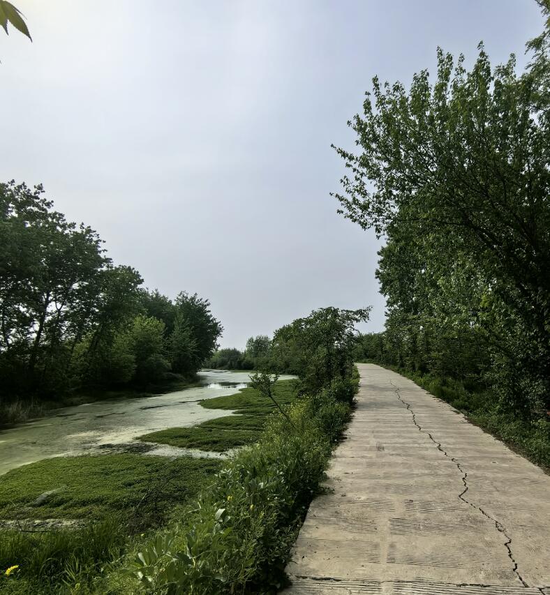 17137495115926.jpg 11111.jpg